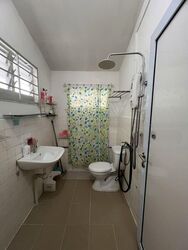 Mount Sinai (D10), Terrace #467717511